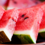 The efficiency of Calcibor on watermelon.